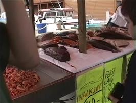 Once again we are slightly concerned, this time by the sale of Whale Meat in the Bergen Fish Market